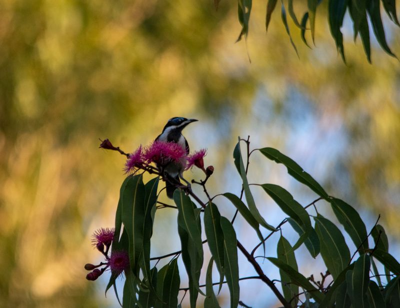 DSC_9474.jpg