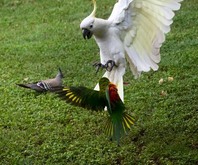DSC_2098.jpg