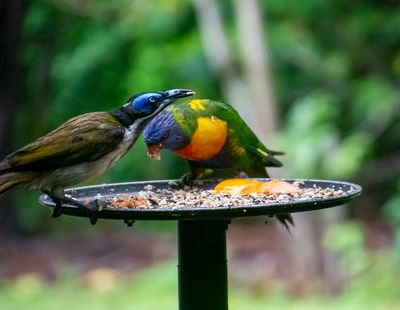 DSC_2345.jpg