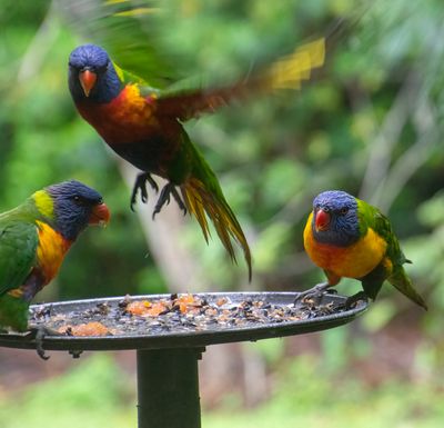 DSC_2642.jpg