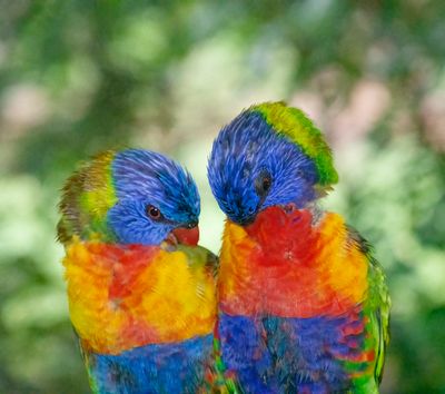 DSC_2776.jpg