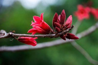 DSC_2270.jpg