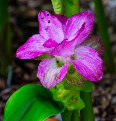 DSC_2284.jpg