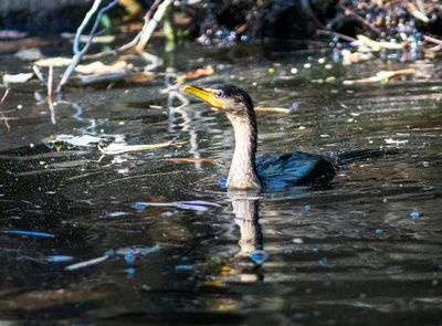 DSC_4181.jpg