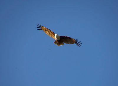 DSC_5500.jpg