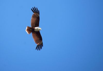 DSC_5501.jpg