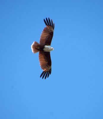 DSC_5502.jpg