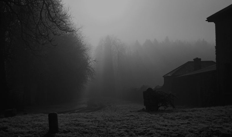 Misty Day, Gurteen, Waterford, Ireland