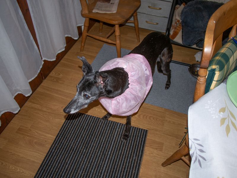 PA310327.jpg