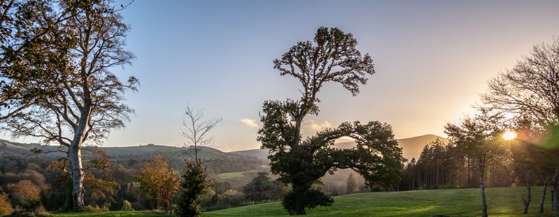 PB050328-Pano.jpg