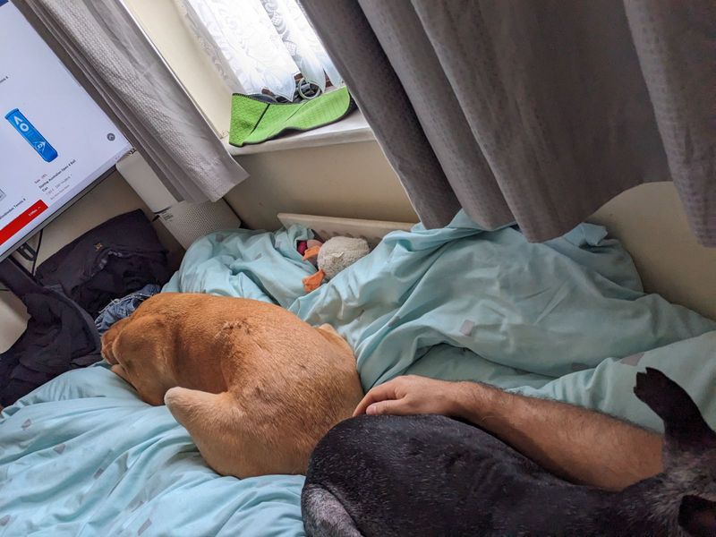 Arlo and Roxanne
