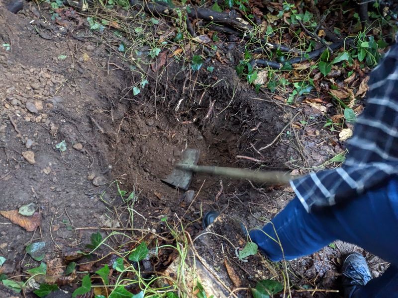 Angel dig a hole