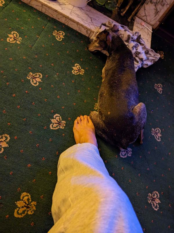 last moments with Arlo