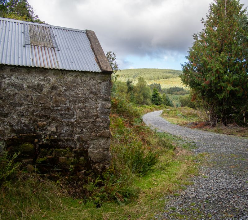 Glen Dara, co Wicklow