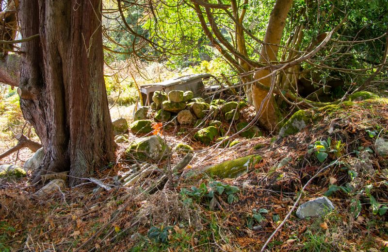 Glen Dara, co Wicklow