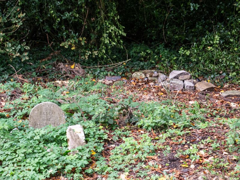 The Pet Cemetery in Gurteen Estate