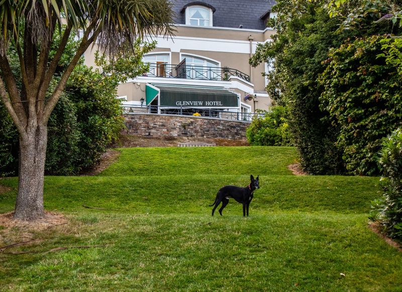 Arlo in front of the Glenview Hotel