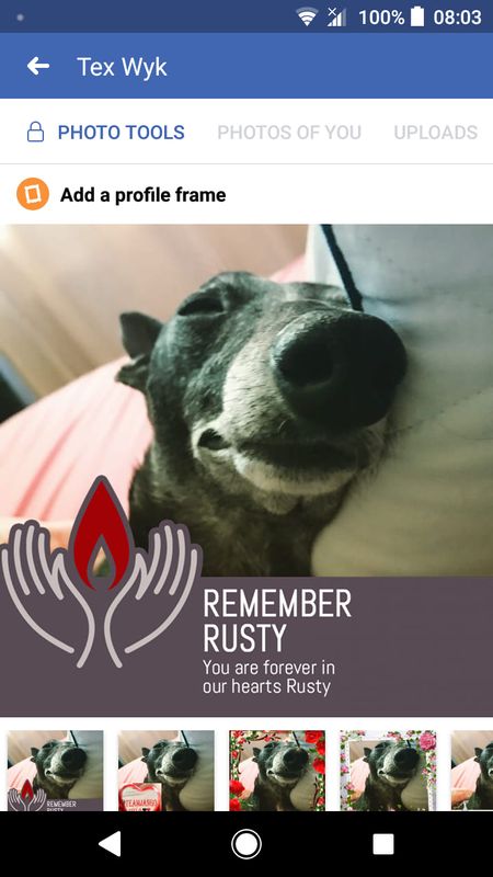 Facebook not only decided Arlo was dead one day, but also called him Rusty.