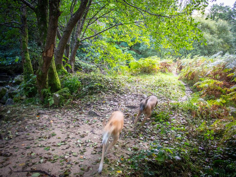 Woody and Roxanne, Glen Cree