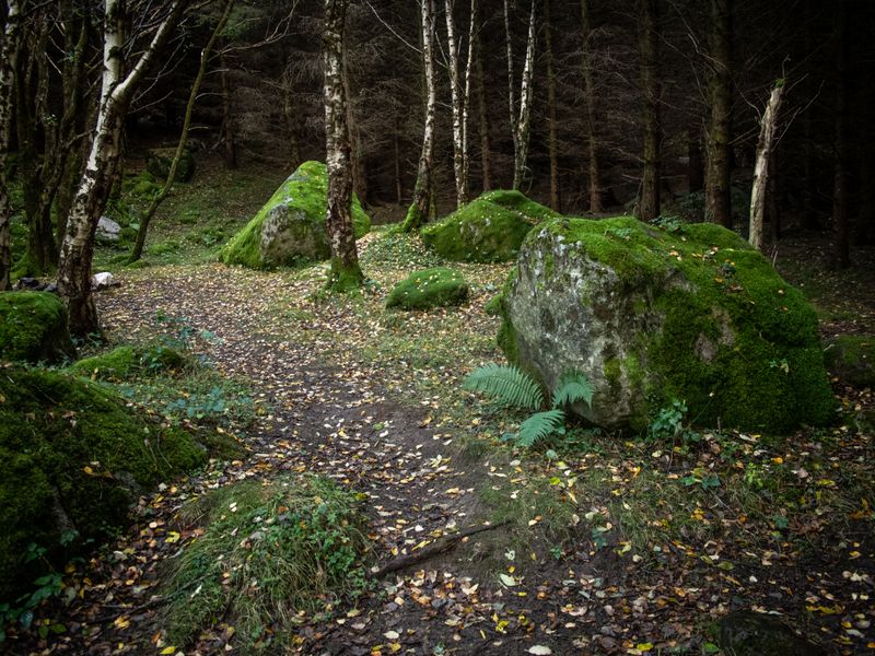 Glen Cree