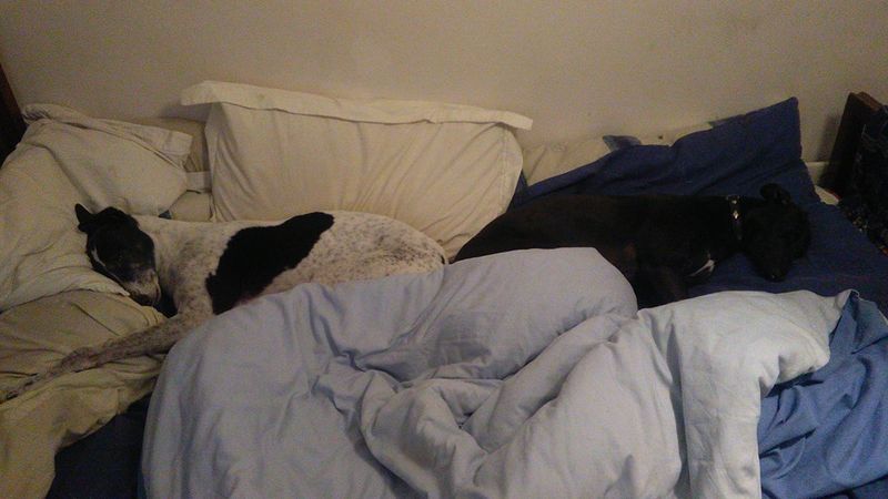 jan 12 2016.jpg
