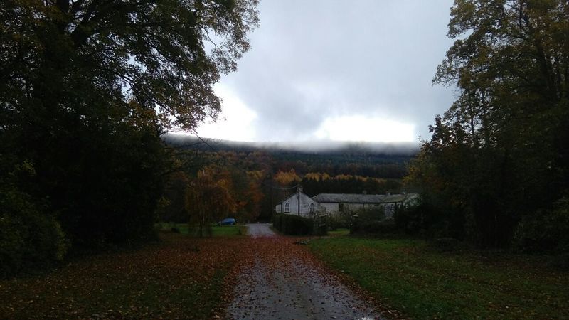nov 5 2015.jpg