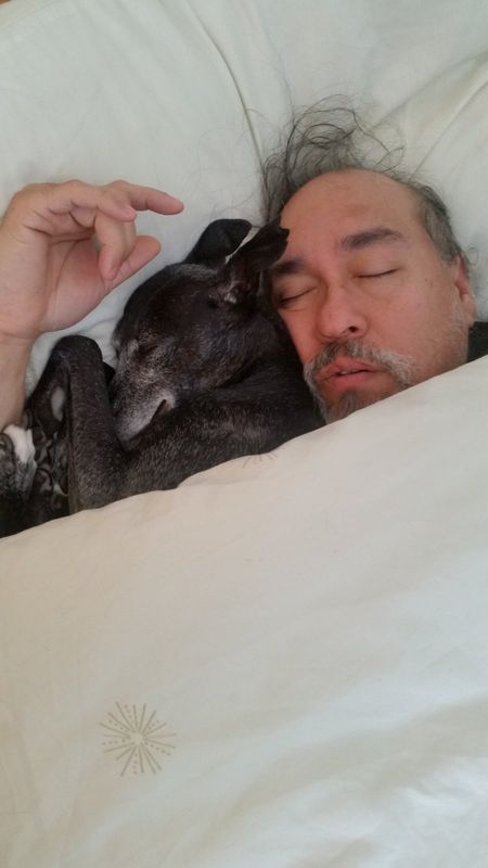 Arlo sleeps