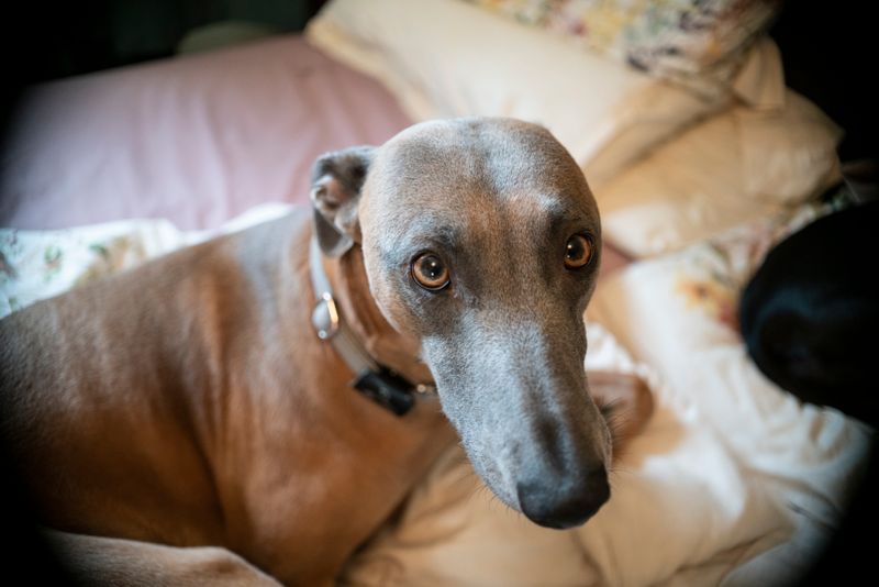 An almost uncropped JPEG from an A7R raw file - 28 Megapixels.