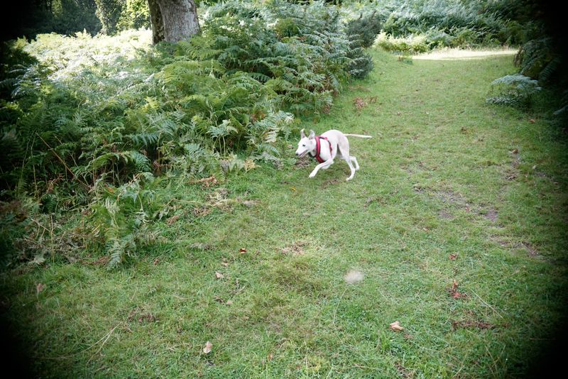 _DSC0890.jpg