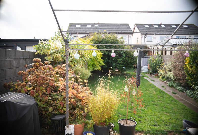 The Back Garden Through The Years