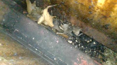 T4-Compost-LHS.JPG