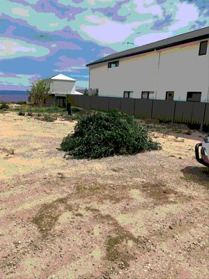 g13/22/5240722/3/173375953.9c6d9126.JPEG