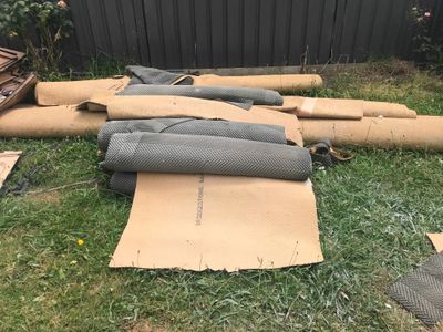 g13/22/5240722/3/173445487.3ee7c5ec.JPEG