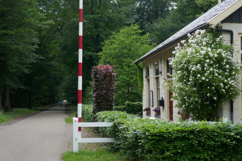 Toll house