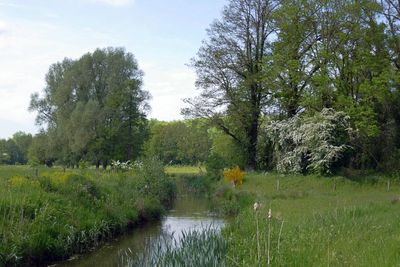Meander