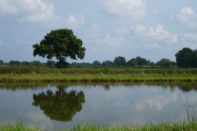 Reflection