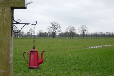 Red kettle