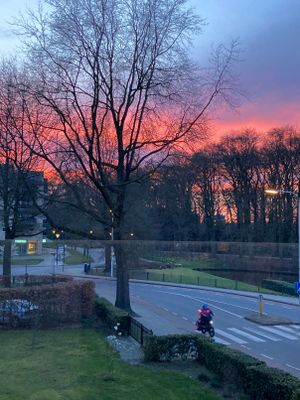 Sunset and bike