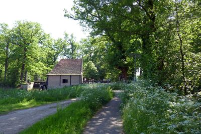 Water mill