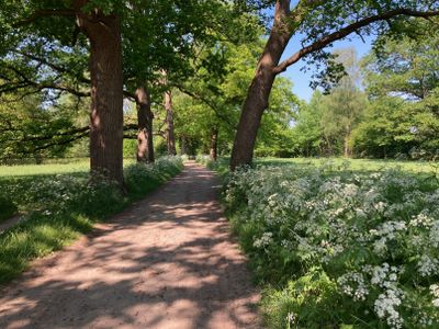 Country road