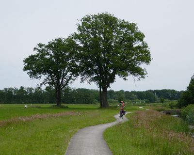 Cycling