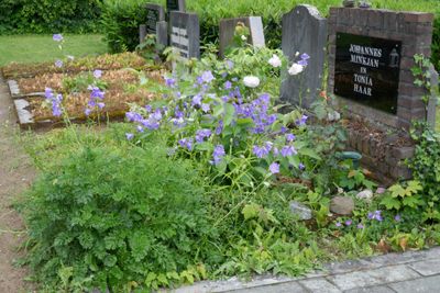 g13/22/530522/3/174599304.1f283c35.JPEG