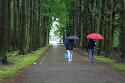 Umbrellas