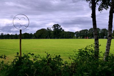 Country side