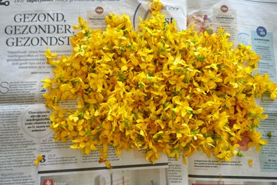 Flower petals