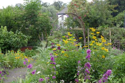 Summer garden