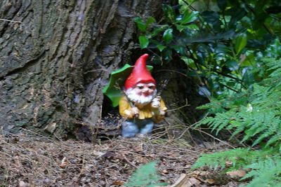 Gnome