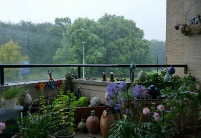 Rain