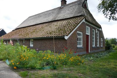 Flowergarden