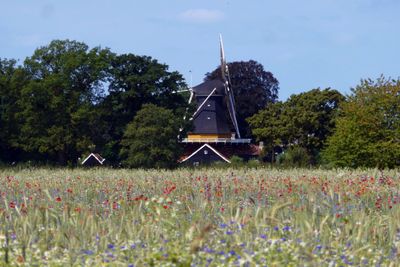 Wind mill